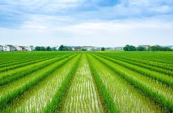 ũҵũ�岿����ʮ���塱ĩ���ֱ�����������ߵ�80%