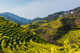 �°�߱�׼ũ�ｨ����ұ�׼����