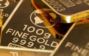 ���вμӹ����������С�����������԰��š�